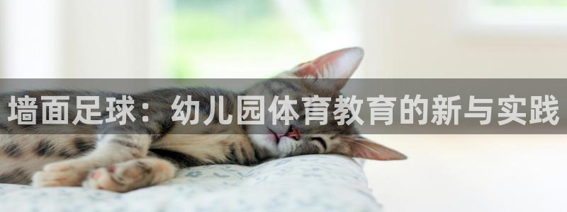 98体育直播在线观看：墙面足球：幼儿园体育教育的新与实践