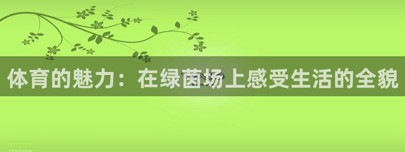 98体育网：体育的魅力：在绿茵场上感受生活的全貌