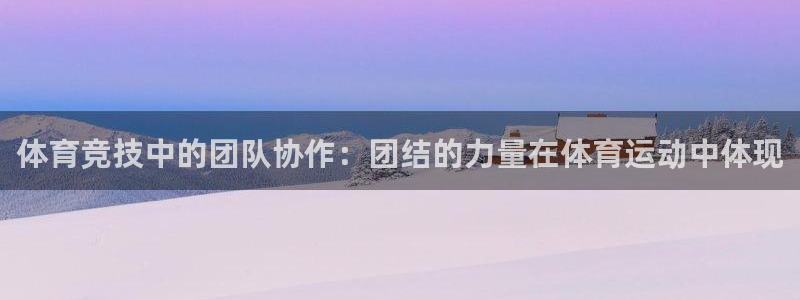 98体育网：体育竞技中的团队协作：团结的力量在体育运动中体现