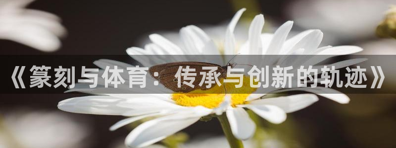 98体育直播nba：《篆刻与体育：传承与创新的轨迹》