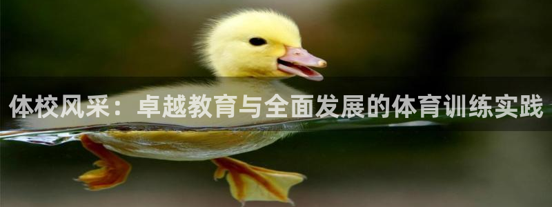 拳皇98体育队：体校风采：卓越教育与全面发展的体育训练实践