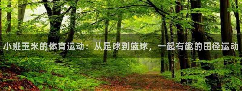 98体育官网：小班玉米的体育运动：从足球到篮球，一起有趣的田径运动